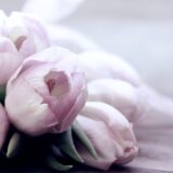 婚活で好かれようとして疲れたあなたへ。自分を出せない苦しさから抜け出す処方箋